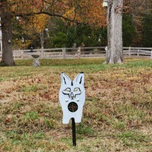 Coyote Front view Target
